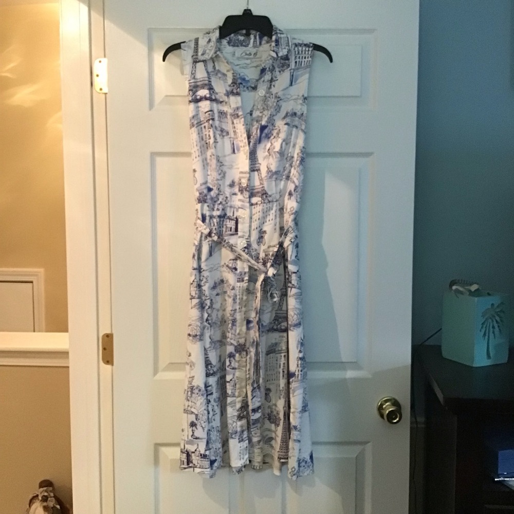 Print is Paris.  Cotton, full skirt